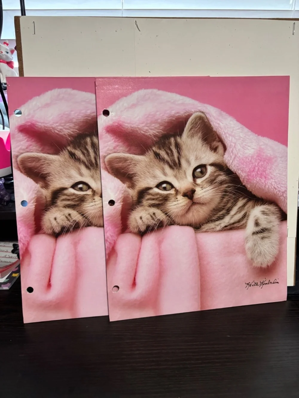 Cat/ Kitten Folder Bundle